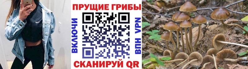 где купить наркоту Верхоянск Галлюциногенные грибы прущие грибы